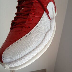 Air Jordan 12 "Reverse Cherry"